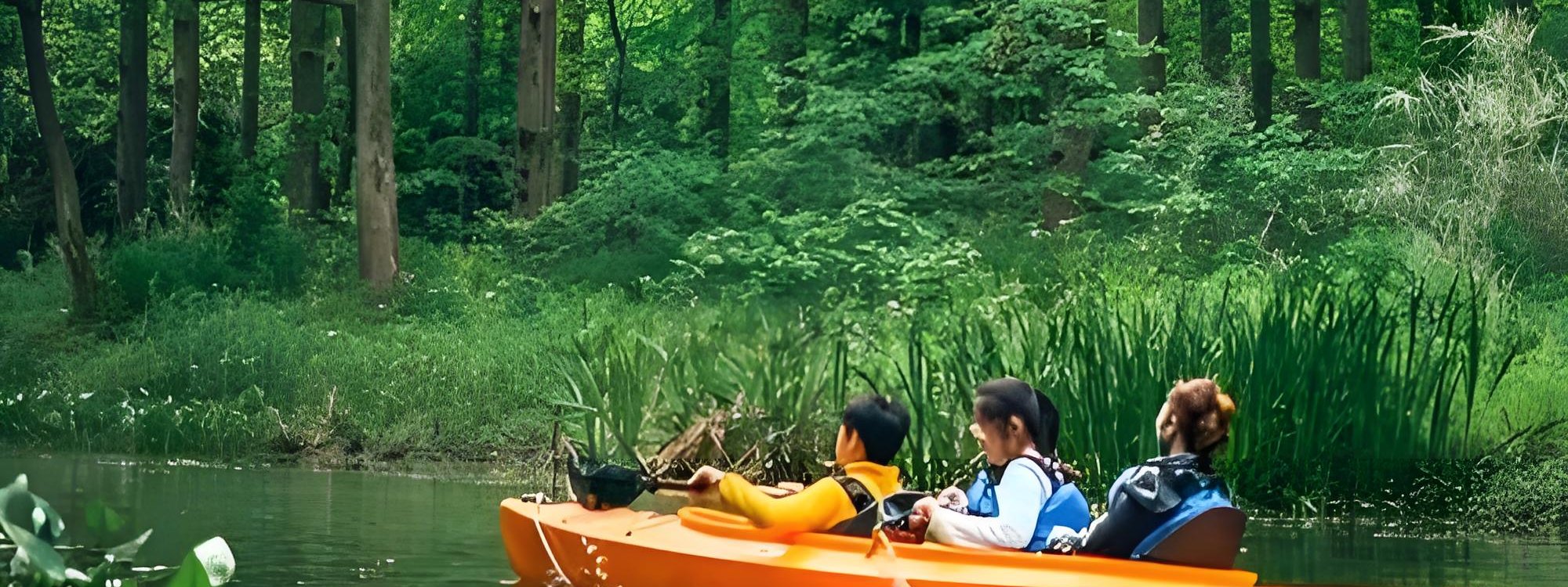 東平森林公園サイクリングループの写真