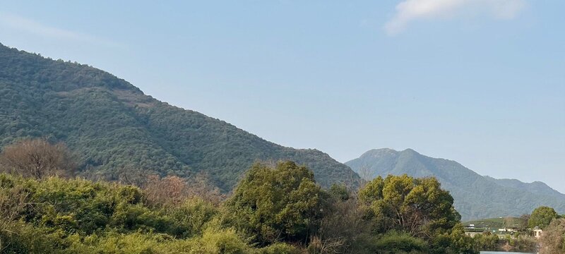 Guangming Temple Reservoir surrounded by tea fields and forest