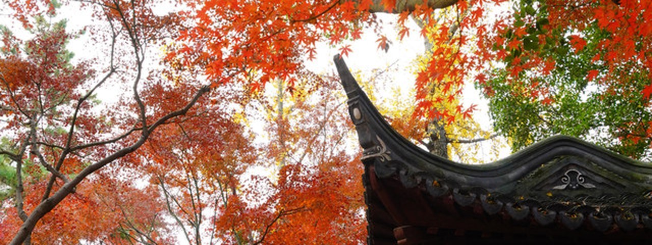 Photograph of the Jiading Zhouqiao old street and Qiuxia Garden walk route