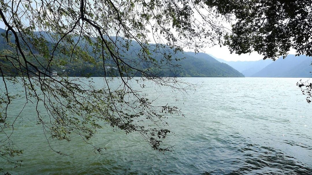 The Fuchun River at Tonglu seen from the near bank, with wooded hills closing the valley and branches framing the water