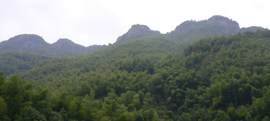 Bamboo-covered ridges and bare rock crests under a pale sky, generic northern Zhejiang hill country and not this route