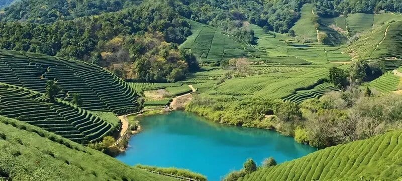 Aerial view of a green hill-country reservoir ringed by terraced slopes and woodland in the hills north-west of Hangzhou