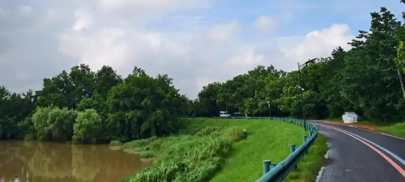Photograph of the asphalt crest road bending along the dike with a metal guardrail between it and the grass toe, and the 东苕溪 running brown and full below