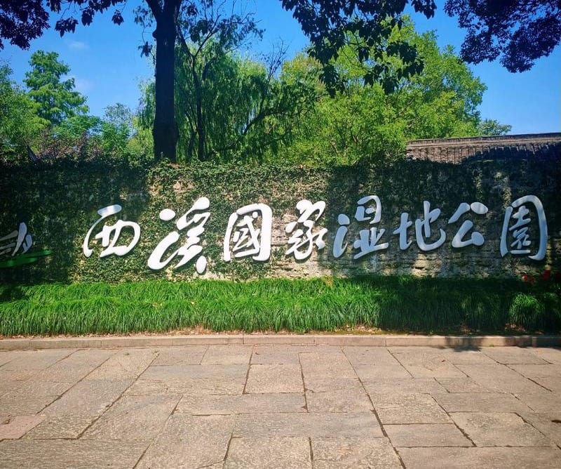 Xixi Wetland boardwalk through lotus ponds with traditional Jiangnan buildings in the background